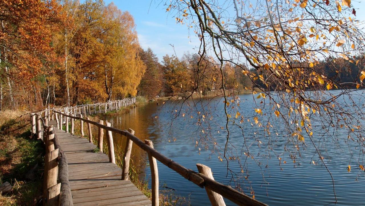 Ferienwohnung Und Pension "Zur Aue" Konigsbruck 외부 사진