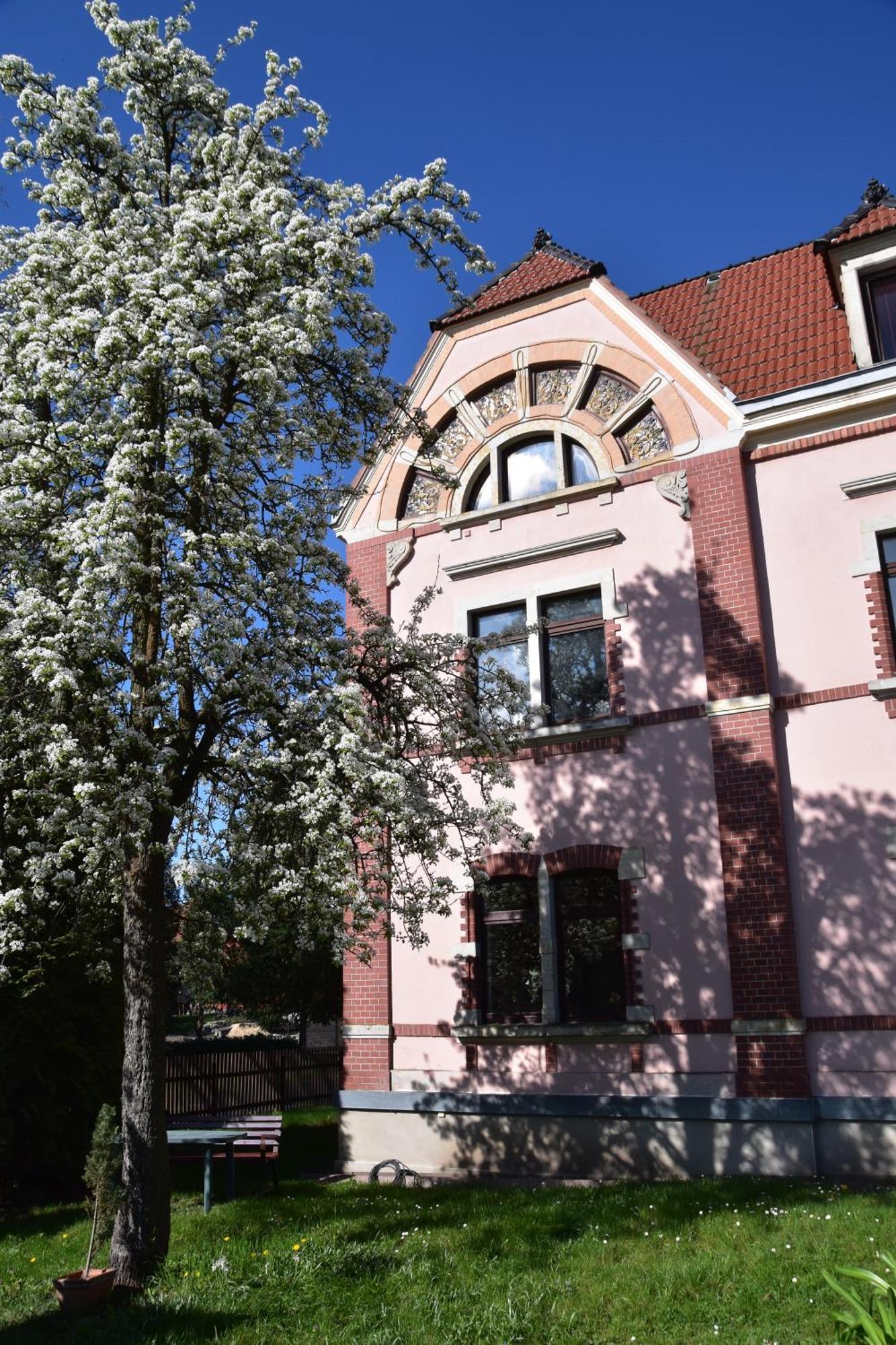 Ferienwohnung Und Pension "Zur Aue" Konigsbruck 외부 사진